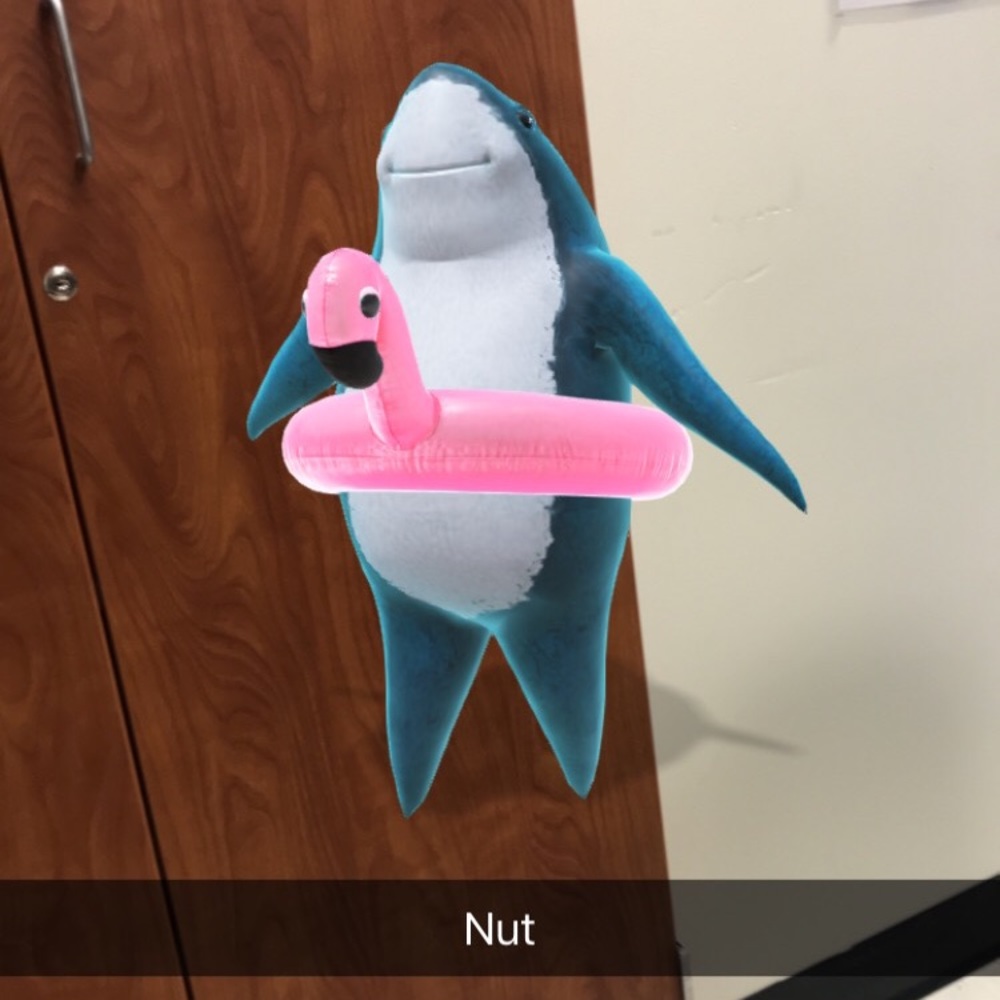 Meet your Posher, Gabriel